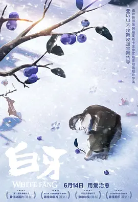 日韩a无吗一区二区三区